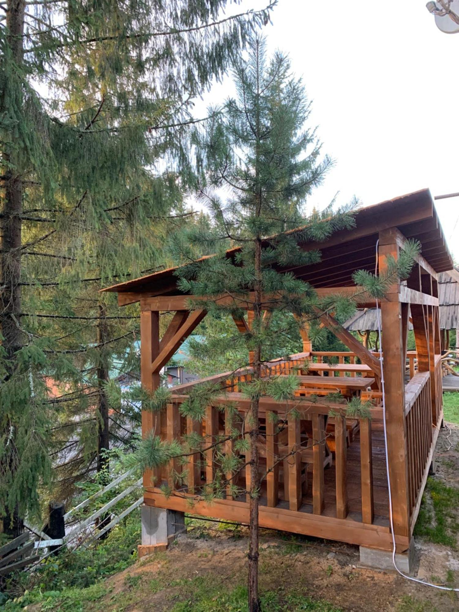 Hotel Novoe Shale ヤブルニツァ エクステリア 写真